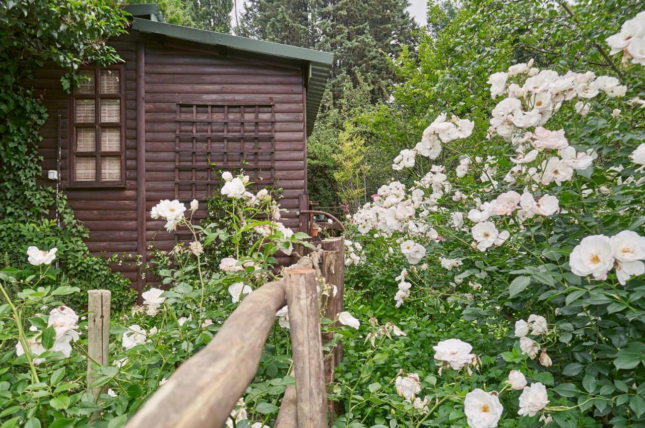 Forest Lane Кларенс Экстерьер фото