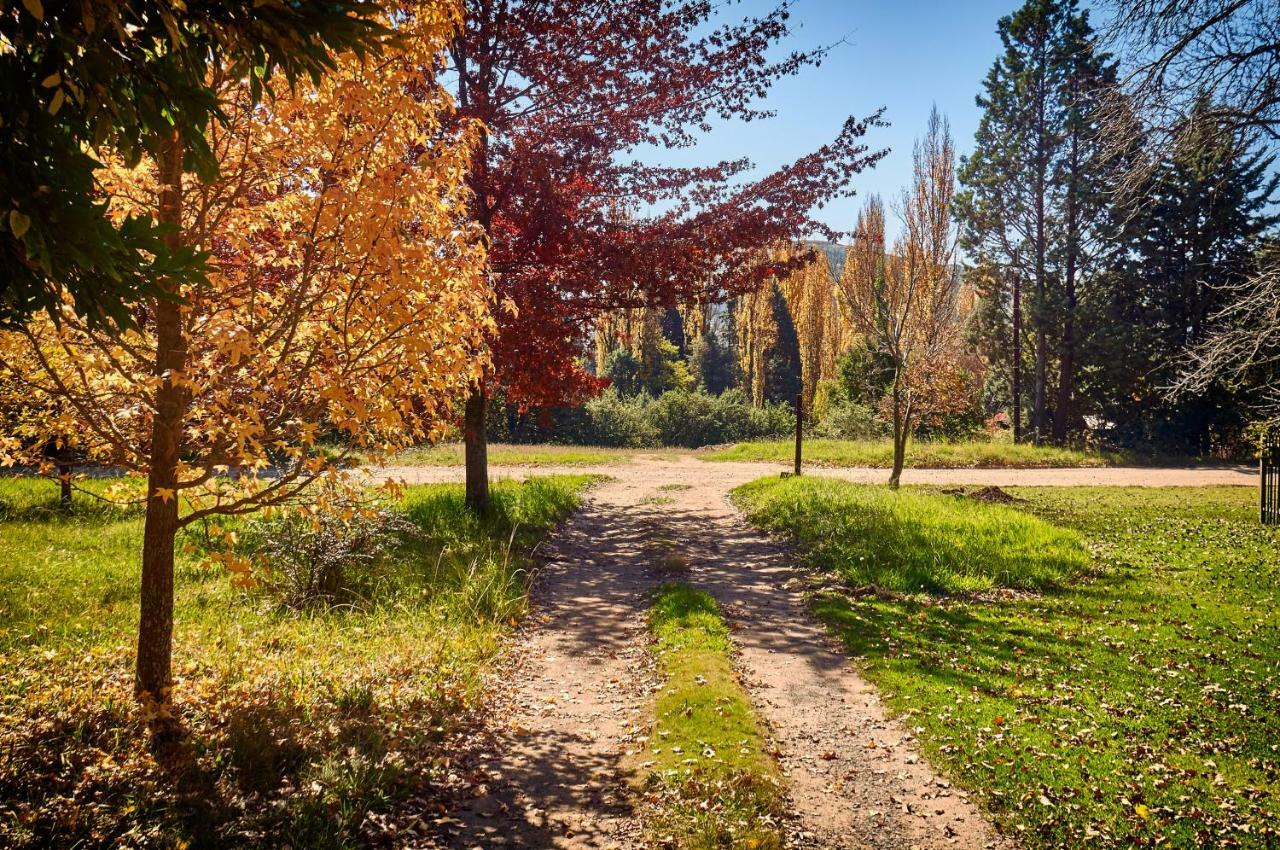 Forest Lane Кларенс Экстерьер фото
